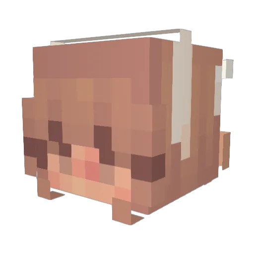 PennyPearl Minecraft avatar head, 3D render