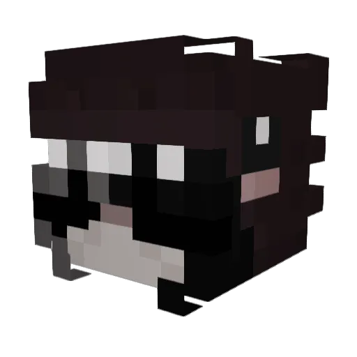 PennyPringles Minecraft avatar head, 3D render