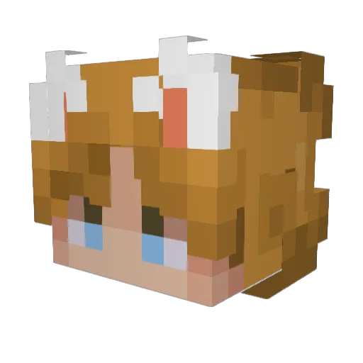Pensip Minecraft avatar head, 3D render