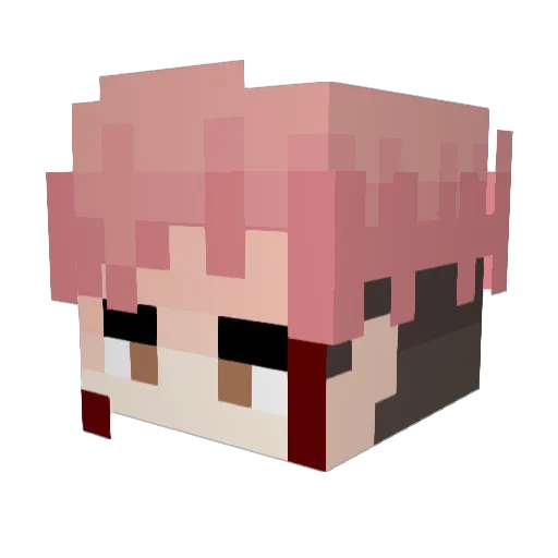 PentaWill Minecraft avatar head, 3D render