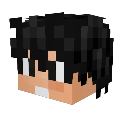 PentahOH_07 Minecraft avatar head, 3D render