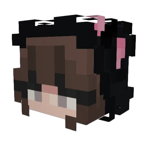 Pentho Minecraft avatar head, 3D render