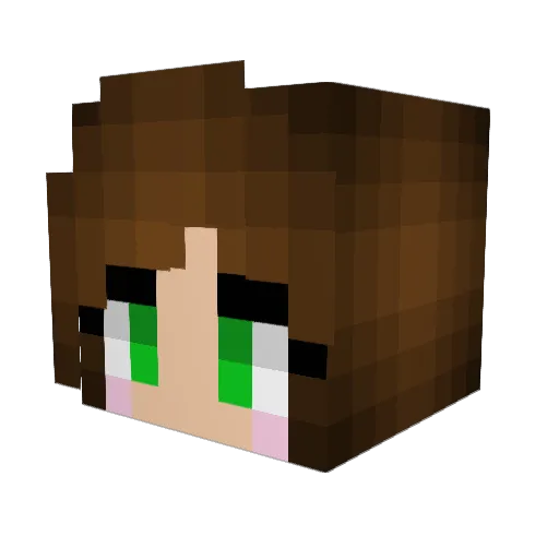 Pentilius Minecraft avatar head, 3D render