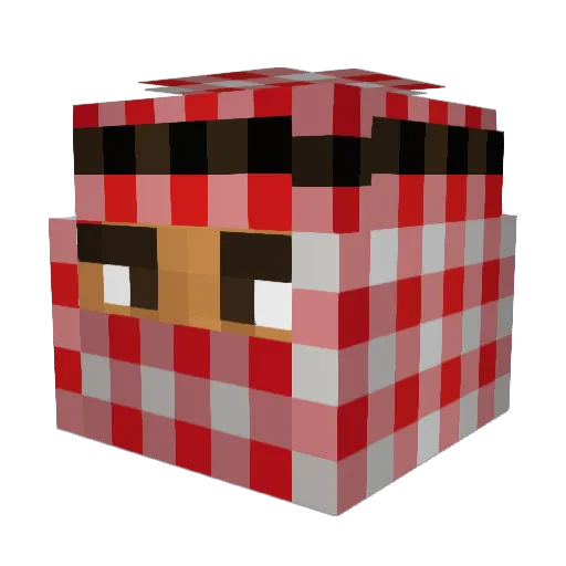 Pentrator360 Minecraft avatar head, 3D render