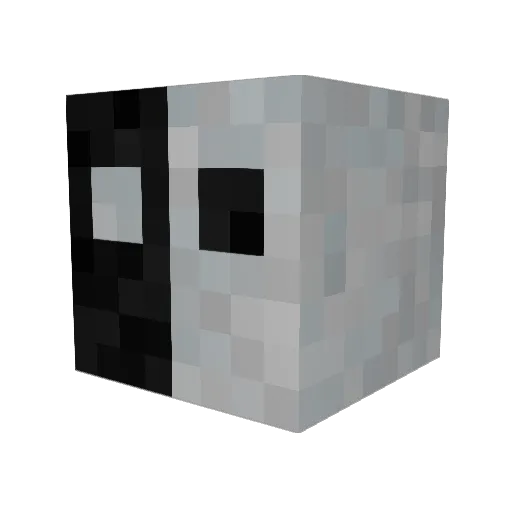 Pentri1 Minecraft avatar head, 3D render