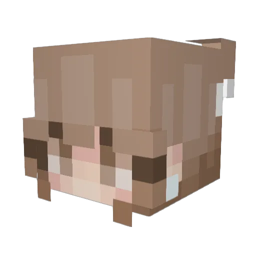 Pentros Minecraft avatar head, 3D render
