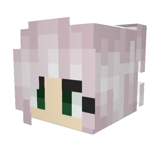 PenultimatePotat Minecraft avatar head, 3D render