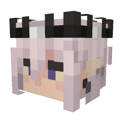 Penumbrashin Minecraft avatar head, 3D render