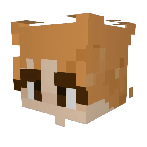 People56546HA Minecraft avatar head, 3D render