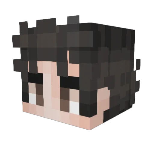 PepeDrako Minecraft avatar head, 3D render