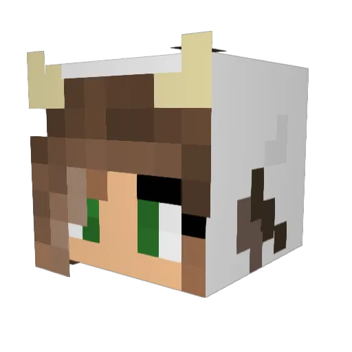 Pepe_kingprawn Minecraft avatar head, 3D render