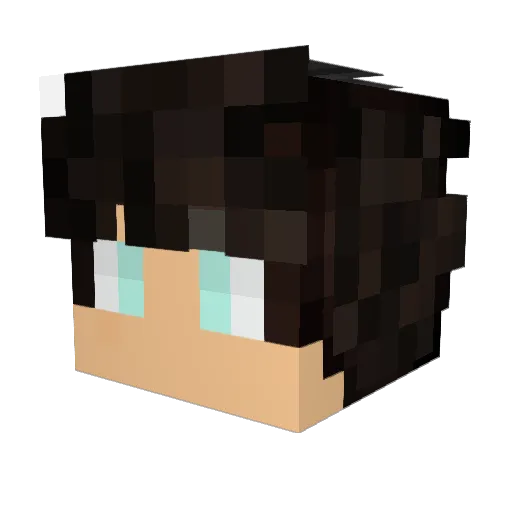 Pepeeltoro55 Minecraft avatar head, 3D render