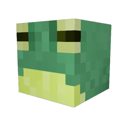 Pepethefrog00 Minecraft avatar head, 3D render