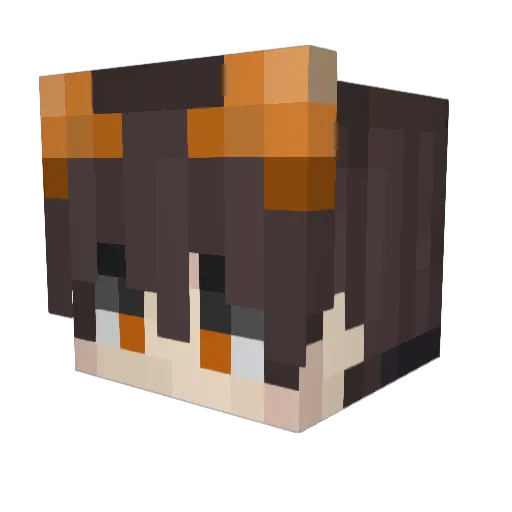 Pepex3 Minecraft avatar head, 3D render