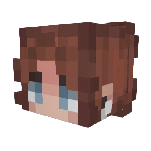Pepijn46 Minecraft avatar head, 3D render