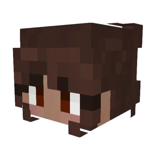 PepinoPenguino Minecraft avatar head, 3D render