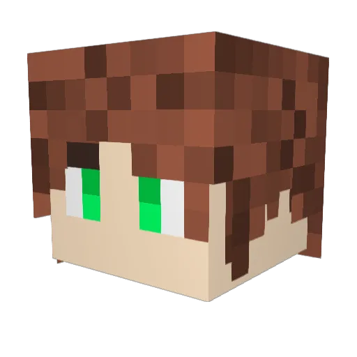 Pepish10 Minecraft avatar head, 3D render