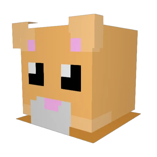 Pepoo2000 Minecraft avatar head, 3D render