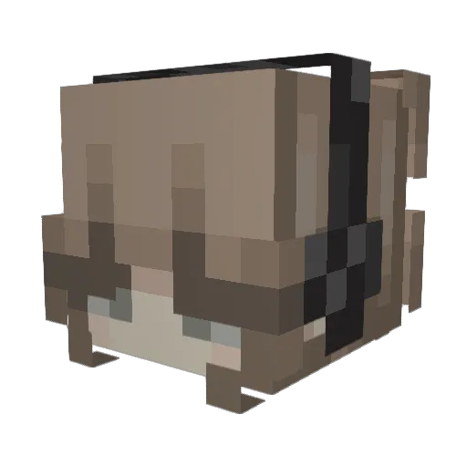 PeppaPig1789 Minecraft avatar head, 3D render