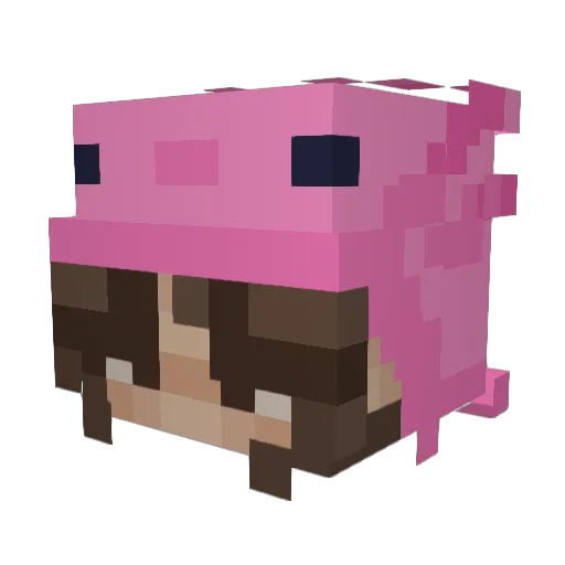 Peppashusband Minecraft avatar head, 3D render