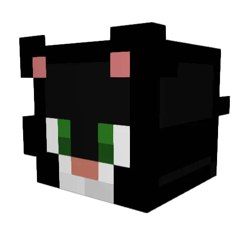 PepperIsCool117 Minecraft avatar head, 3D render