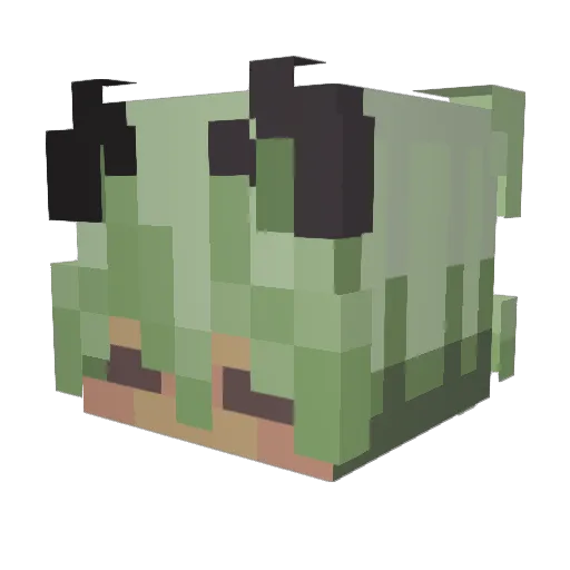 PepperMint_1223 Minecraft avatar head, 3D render
