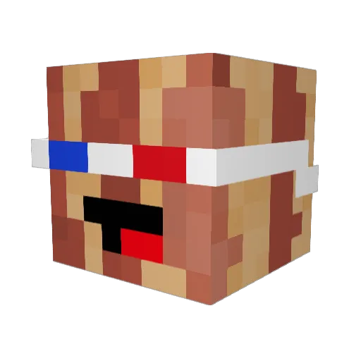 PepperedBacon Minecraft avatar head, 3D render
