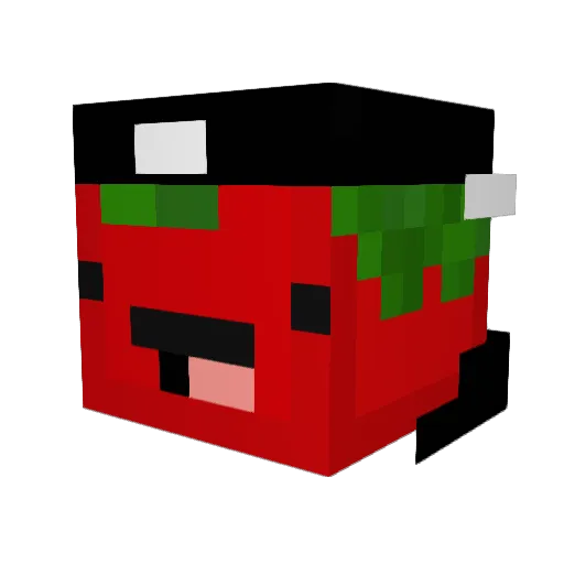 Pepperking7 Minecraft avatar head, 3D render