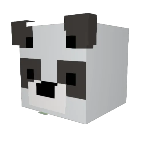 Peppy754 Minecraft avatar head, 3D render