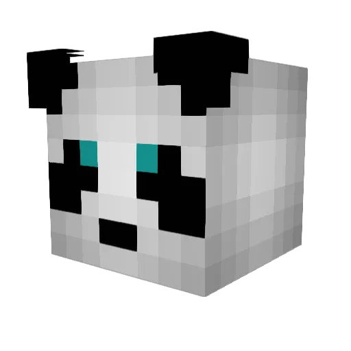 Pepsik155 Minecraft avatar head, 3D render