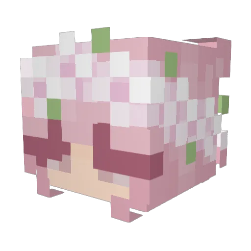 PequenaTixa Minecraft avatar head, 3D render