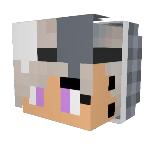 PerFectVi_1 Minecraft avatar head, 3D render