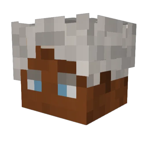 Perci99 Minecraft avatar head, 3D render