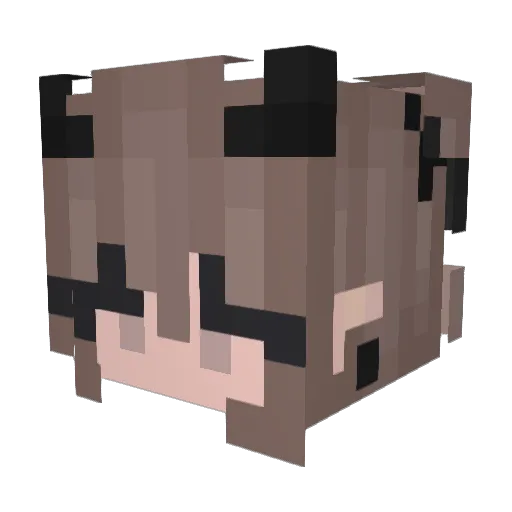 PerdenWasTaken Minecraft avatar head, 3D render