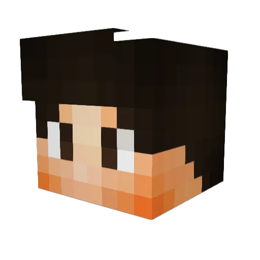 Perdente Minecraft avatar head, 3D render