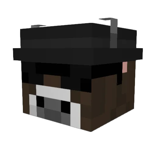 PerditionpG Minecraft avatar head, 3D render