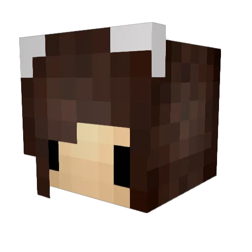 Perdones Minecraft avatar head, 3D render
