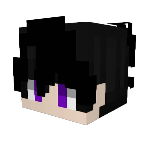 PeregriNous Minecraft avatar head, 3D render