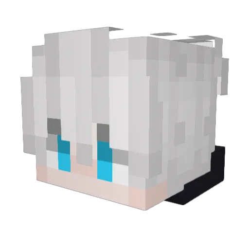 PeregrineFalcon0 Minecraft avatar head, 3D render