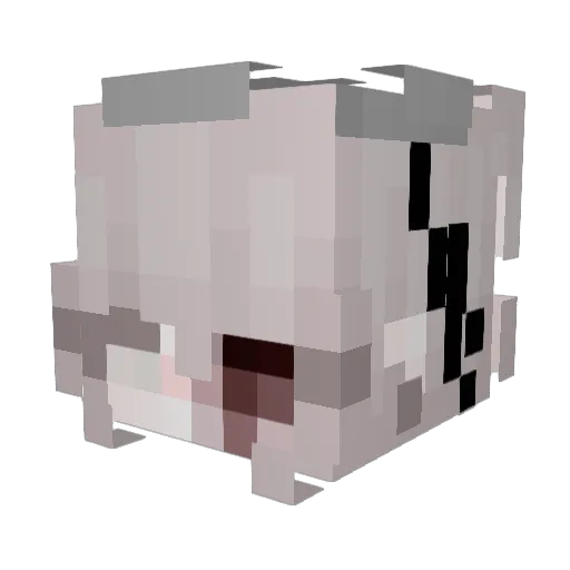 Perene Minecraft avatar head, 3D render