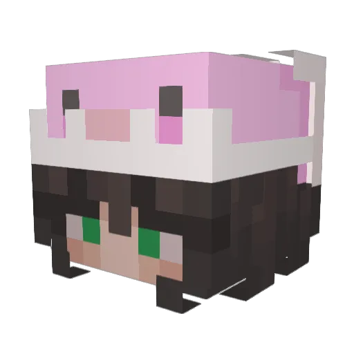 Perfect1912 Minecraft avatar head, 3D render
