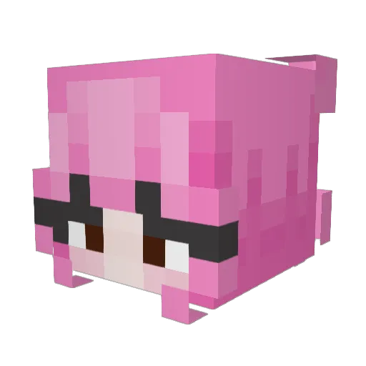 PerfectInsanity1 Minecraft avatar head, 3D render