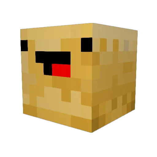 PerfectPotat0 Minecraft avatar head, 3D render