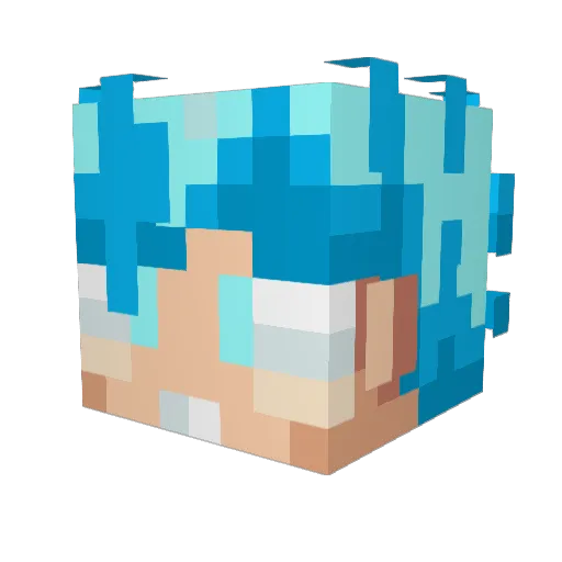 PerfectToast1 Minecraft avatar head, 3D render