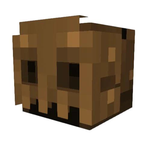 PerfectTrash920 Minecraft avatar head, 3D render