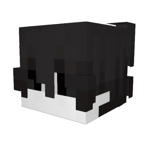 Perfected_Error Minecraft avatar head, 3D render