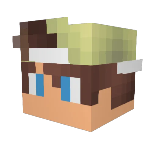 Perfinoler Minecraft avatar head, 3D render