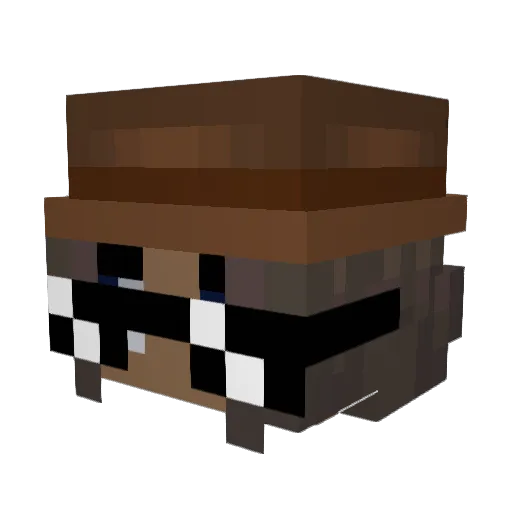 PerhapsKit Minecraft avatar head, 3D render