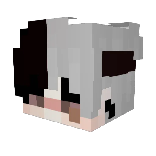 PerkaFTW_YT Minecraft avatar head, 3D render