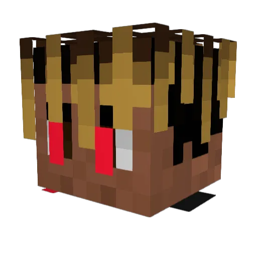 Perkioo999 Minecraft avatar head, 3D render